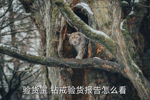 hw鉆戒防偽,hw the one鉆戒...